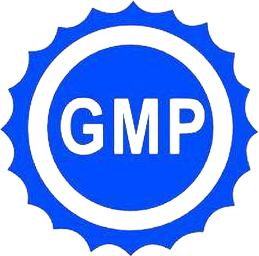 GMP Logo