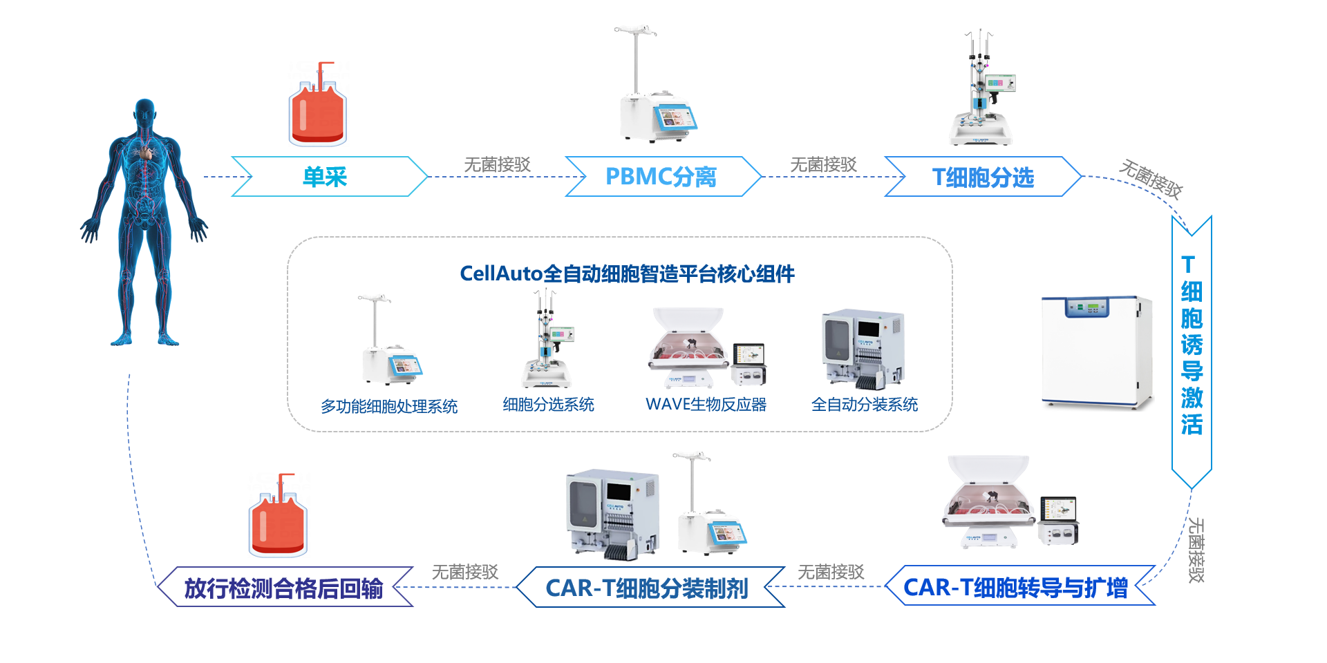 CAR-T 细胞自动化制备工艺