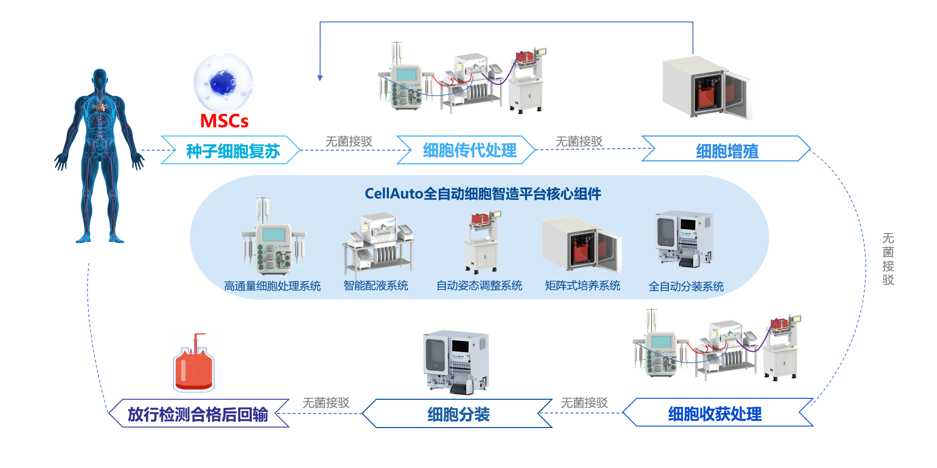 MSCs 细胞自动化制备工艺