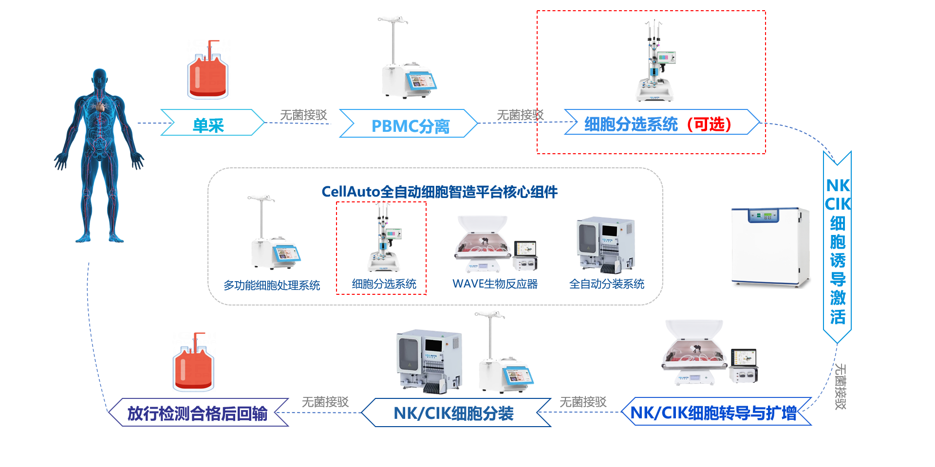 NK/CIK 细胞自动化制备工艺