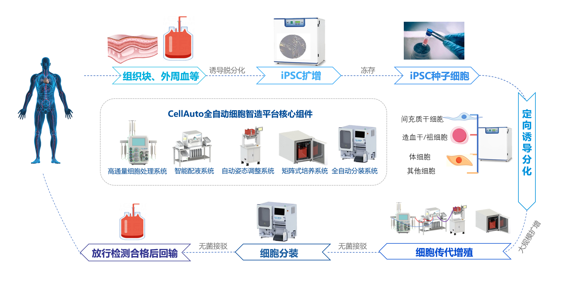iPSC 细胞自动化制备工艺