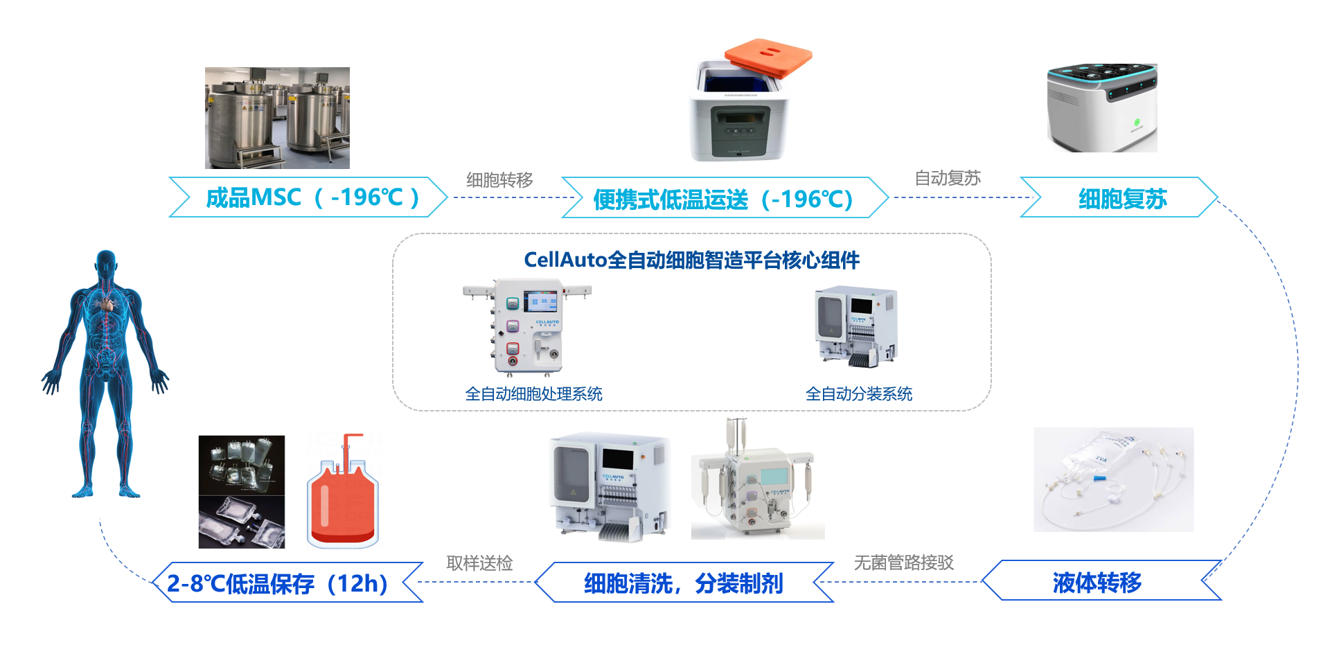 临床前细胞制剂复苏洗涤分装发放工艺